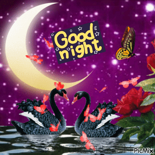 10+ Cute & Beautiful Good Night Gifs To Make Your Night Perfect - picture 6