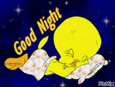 10+ Cute & Beautiful Good Night Gifs To Make Your Night Perfect - picture 7