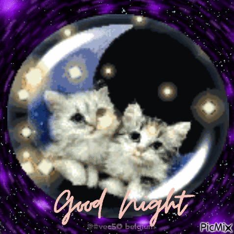 10+ Cute & Beautiful Good Night Gifs To Make Your Night Perfect - picture 9