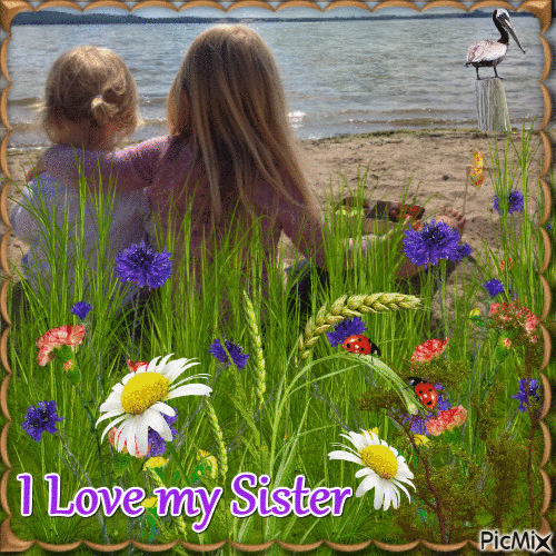 10 Cute & Sweet Quotes For Sisters - picture 8