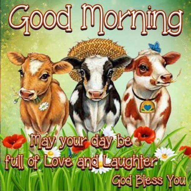 10 Daily Beautiful Good Morning Quotes - picture 10