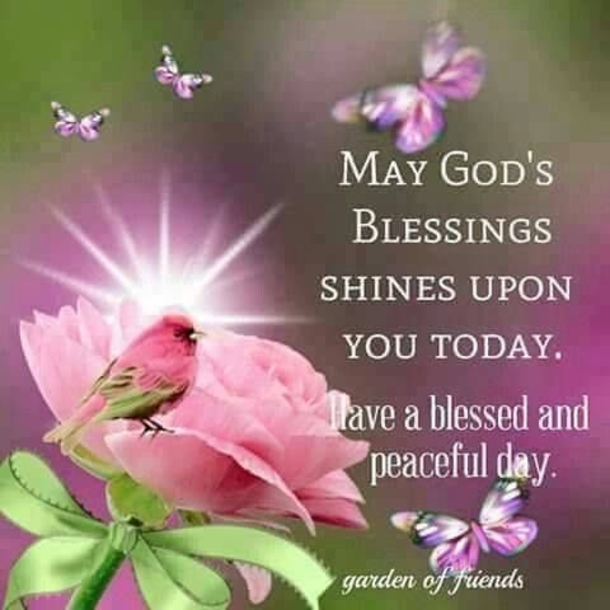 10 Daily Beautiful Good Morning Quotes - picture 6