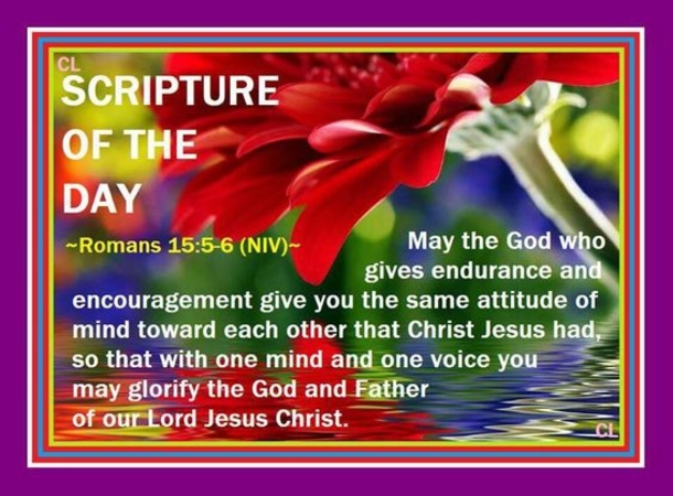 10 Daily Bible Verse Images To Help Inspire You - picture 6