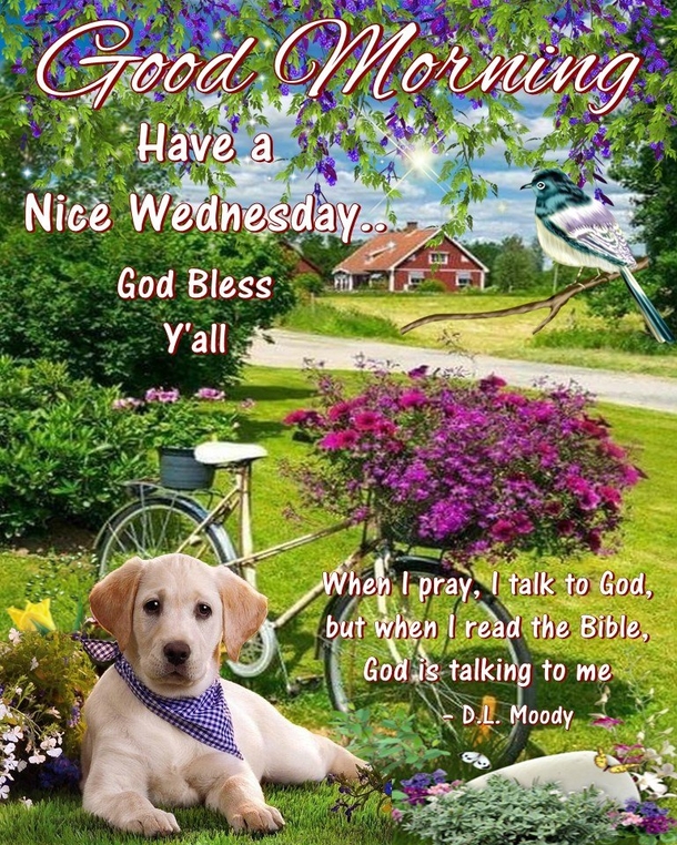 10 Daily Blessed Wednesday Quotes To Celebrate Your Day - picture 5