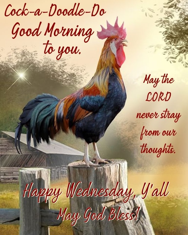 10 Daily Blessed Wednesday Quotes To Celebrate Your Day - picture 6