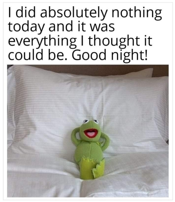 10 Daily Dose Of Funny Memes For 2023 - picture 10