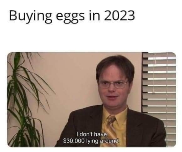 10 Daily Dose Of Funny Memes For 2023 - picture 6
