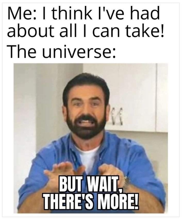 10 Daily Dose Of Funny Memes For 2023 - picture 9