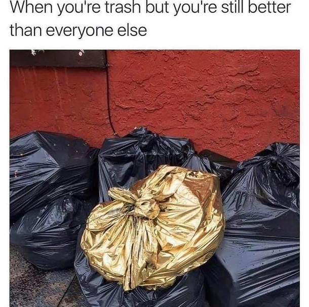 10 Daily Fun Memes To Give You A Good Laugh - picture 10