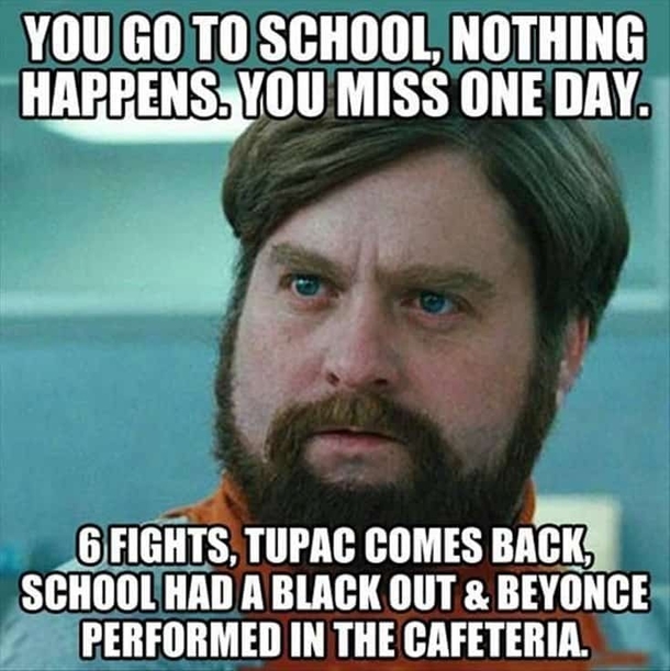 10 Daily Funny Captions And Funny Quotes - picture 12