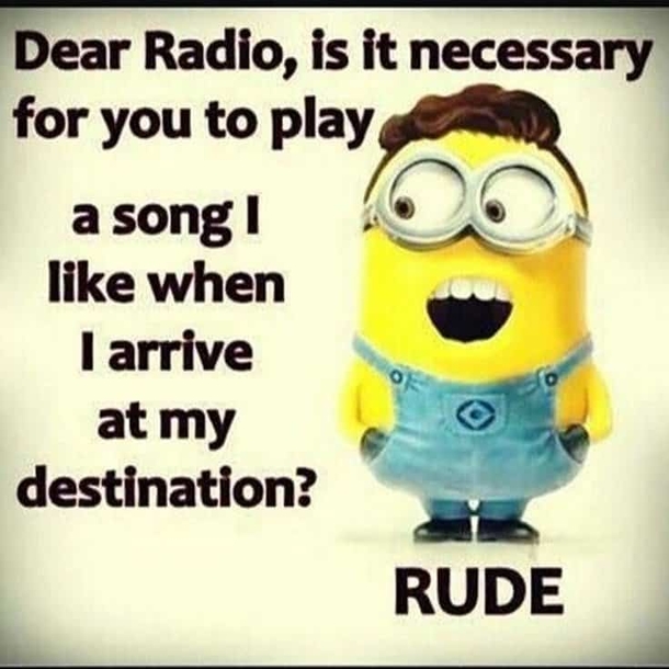 10 Daily Funny Captions And Funny Quotes - picture 5