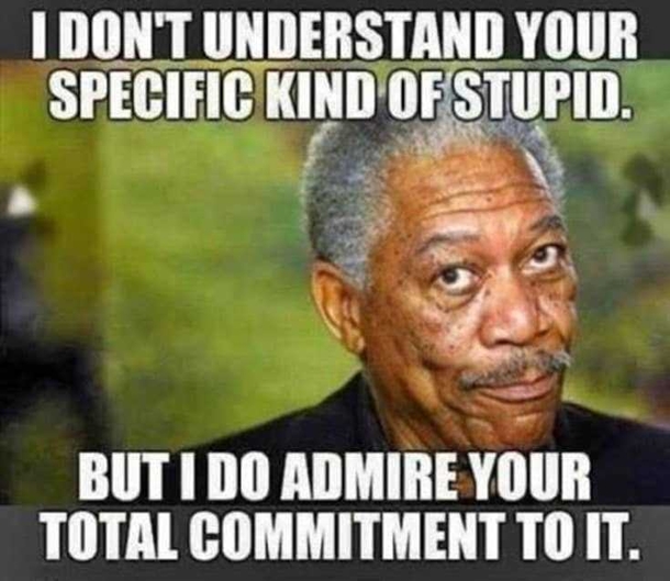 10 Daily Funny Captions And Funny Quotes - picture 6