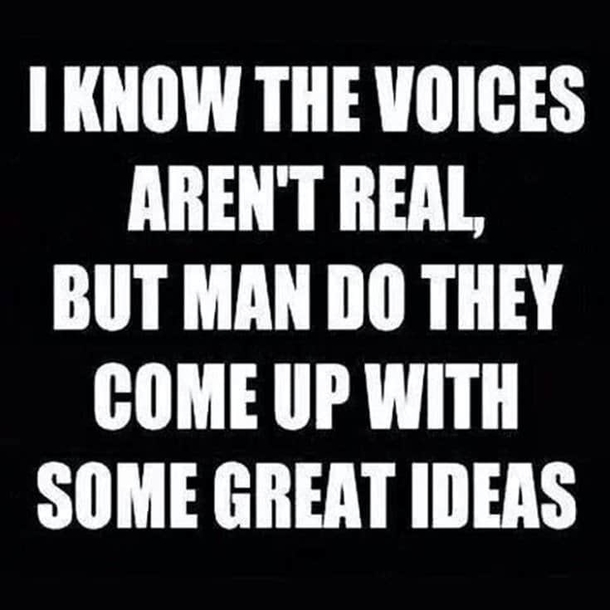 10 Daily Funny Captions And Funny Quotes - picture 9