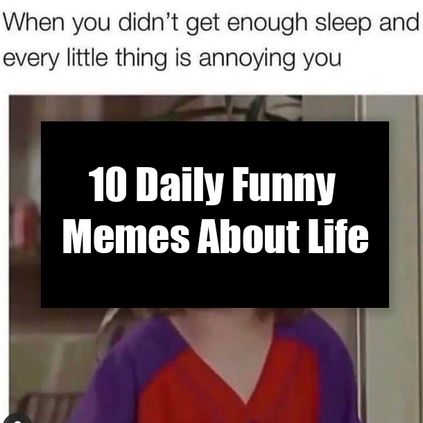 10 Daily Funny Memes About Life