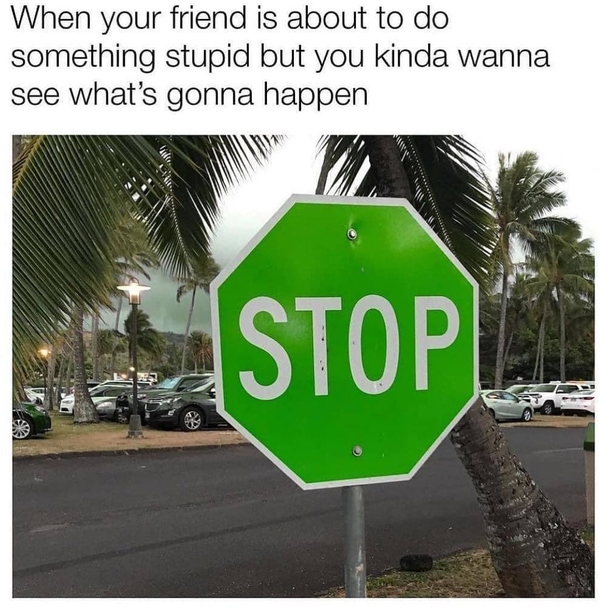 10 Daily Funny Memes About Life - picture 5