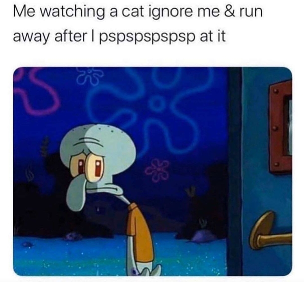 10 Daily Funny Memes That You Have To Love - picture 10