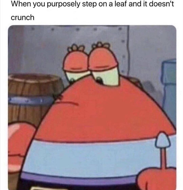10 Daily Funny Memes That You Have To Love - picture 8