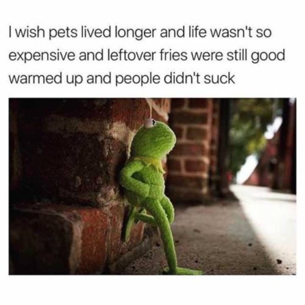 10 Daily Funny Pictures / Memes - picture 2