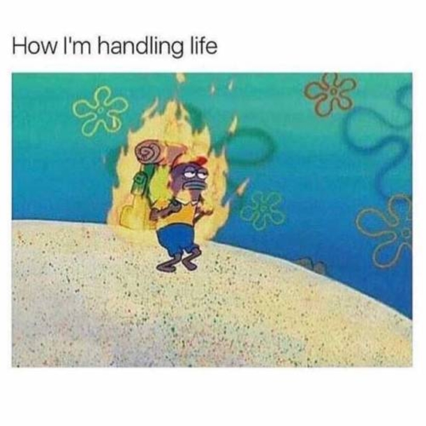 10 Daily Funny Pictures / Memes - picture 7