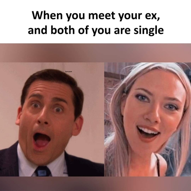 10+ Daily Funny Quotes That Are Random But Relatable - picture 12