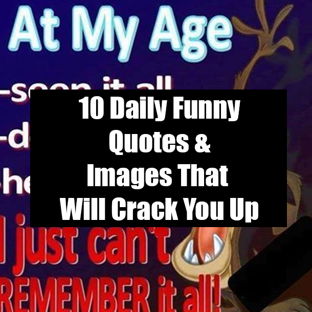 10 Daily Funny Quotes & Images That Will Crack You Up