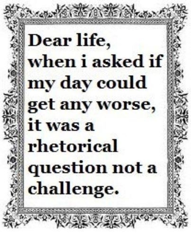 10 Daily Funny Quotes & Images That Will Crack You Up - picture 10