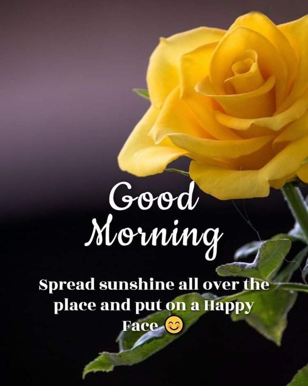 10 Daily Good Morning Images, Wishes And Quotes In 2023 - picture 11