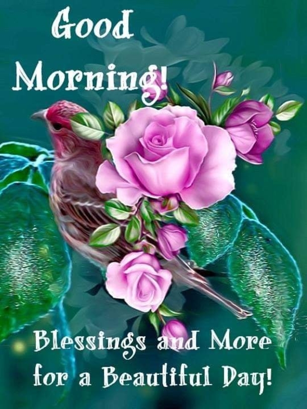 10 Daily Good Morning Images, Wishes And Quotes In 2023 - picture 4