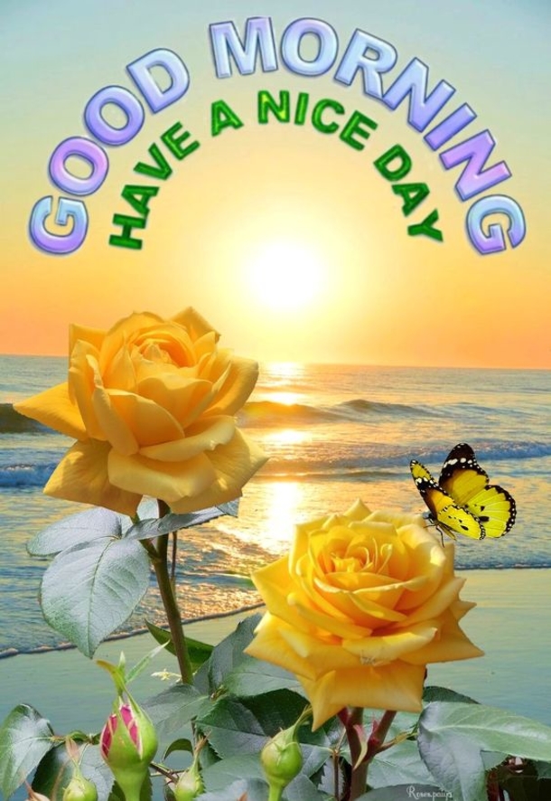 10 Daily Good Morning Images, Wishes And Quotes In 2023 - picture 7