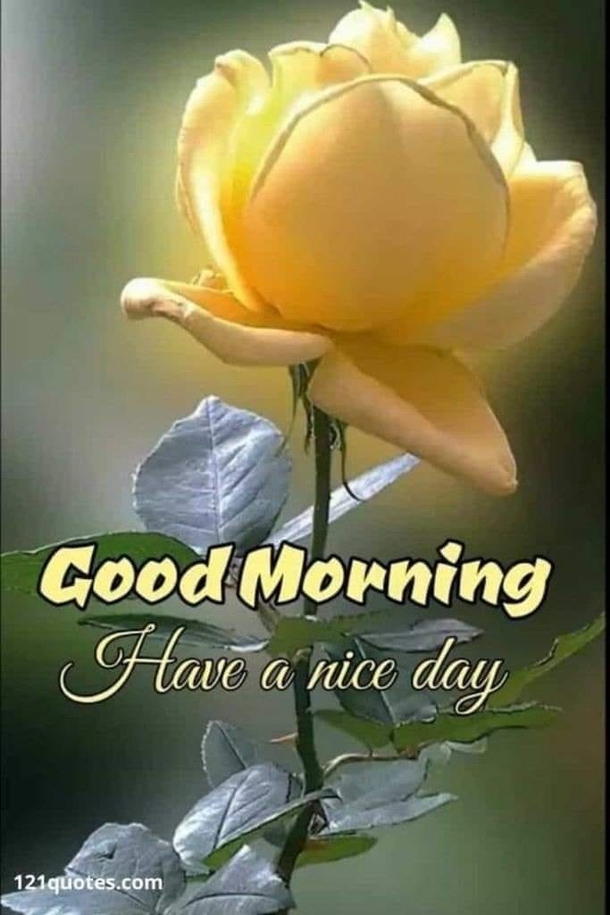 10 Daily Good Morning Images, Wishes And Quotes In 2023 - picture 9