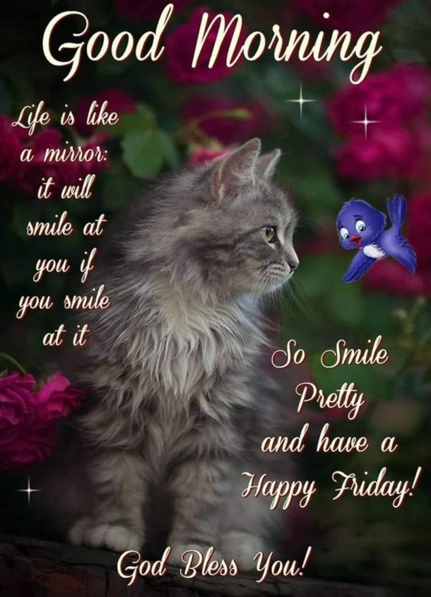 10 Daily Good Morning Quotes For Friday - picture 4