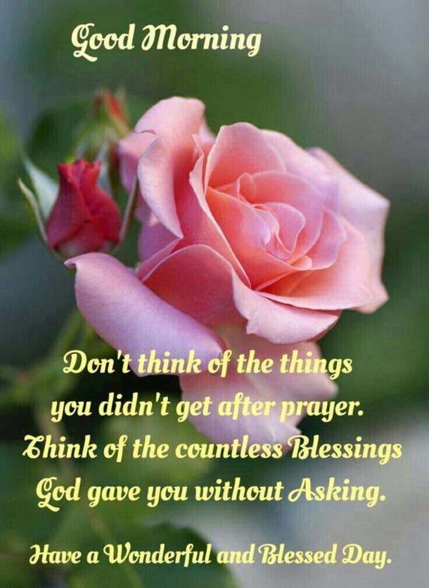 10 Daily Good Morning Wishes For 2022 - picture 3