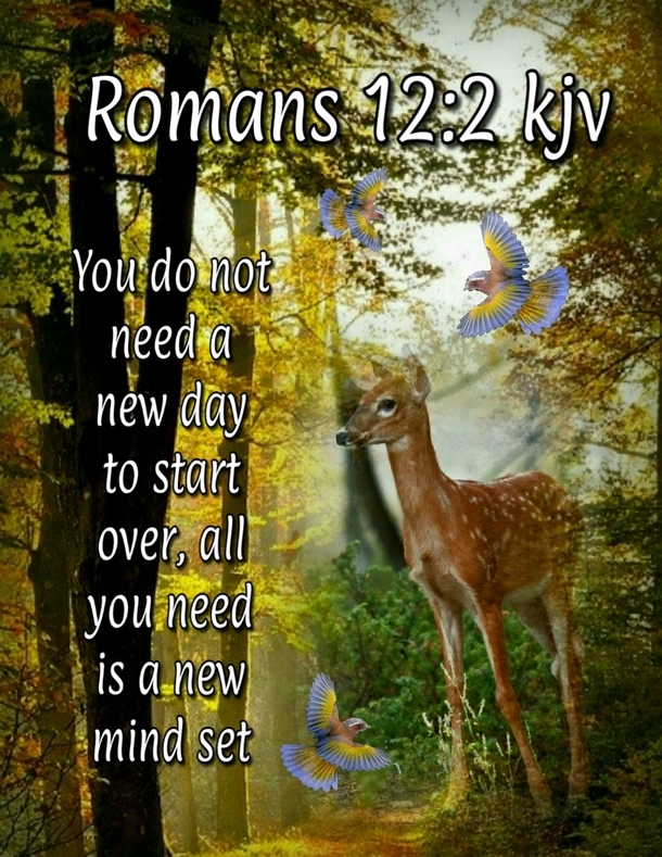 10 Daily Good Morning Wishes For 2022 - picture 8