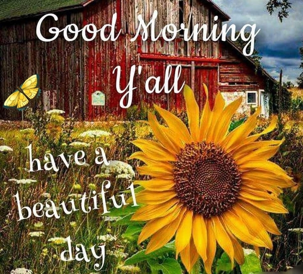 10 Daily Good Morning Wishes To Share With Family, Friends And Loved Ones - picture 3
