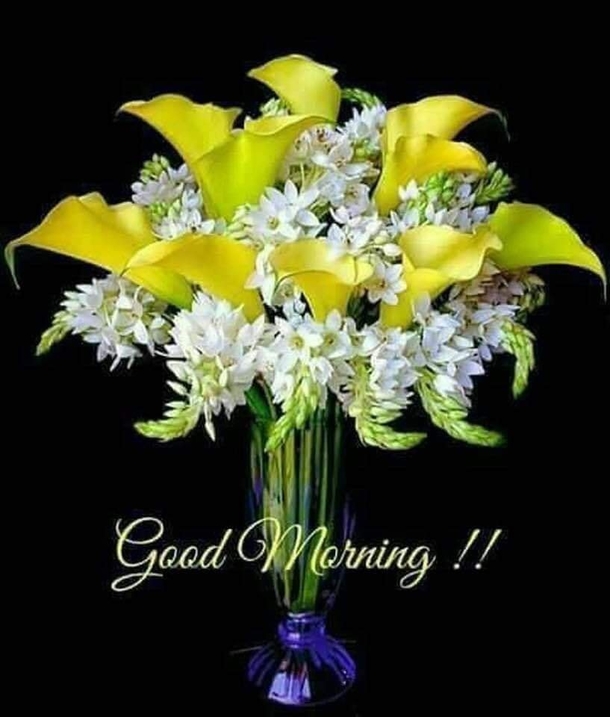 10 Daily Good Morning Wishes To Share With Family, Friends And Loved Ones - picture 6