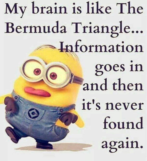 10 Daily Humor And Funny Jokes For The Day - picture 9
