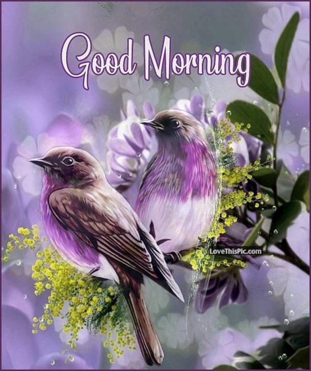 10 Daily Inspiring Good Morning Images And Quotes - picture 3