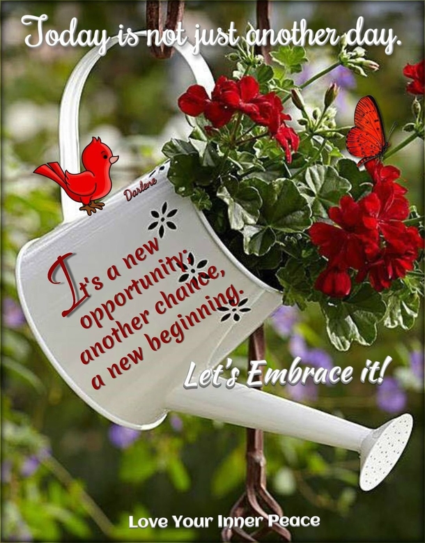 10 Daily Life Quotes & Messages To Motivate - picture 8