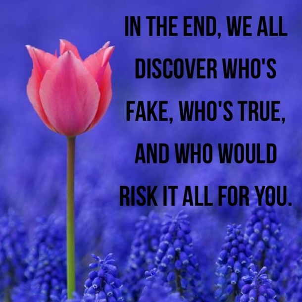 10 Daily Love Quotes To Be Inspired By - picture 9