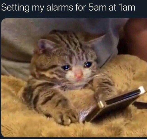 10 Daily Memes About Life To Satisfy Your Humor - picture 11