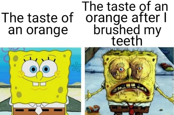 10 Daily Memes About Life To Satisfy Your Humor - picture 2