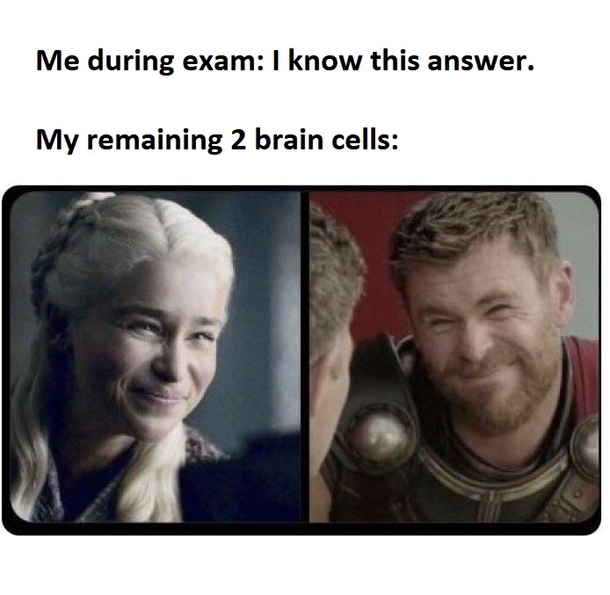 10 Daily Memes About Life To Satisfy Your Humor - picture 6