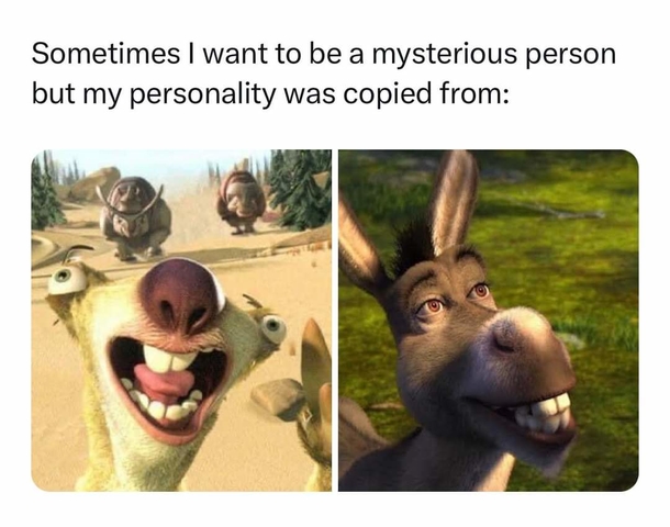 10 Daily Memes That Will Instantly Brighten Your Day - picture 4