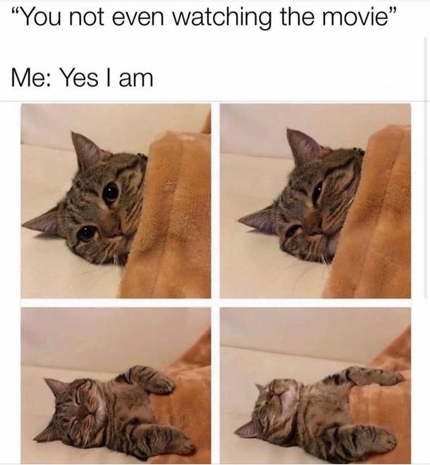 10 Daily Memes To Satisfy Your Sense Of Humor - picture 9