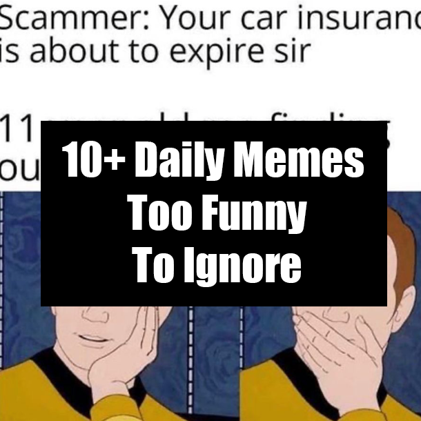 10+ Daily Memes Too Funny To Ignore