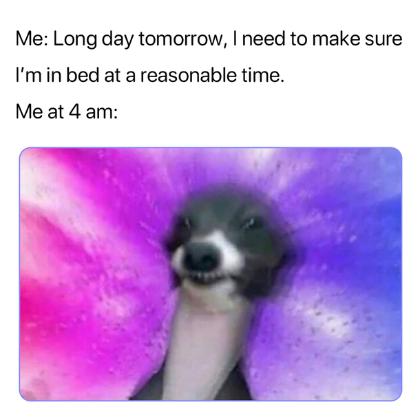 10+ Daily Memes Too Funny To Ignore - picture 13