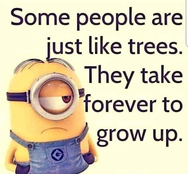 10 Daily Minion Quotes, Sayings And Messages For 2023 - picture 10