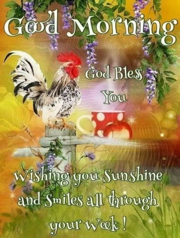 10 Daily Morning Greetings - picture 4