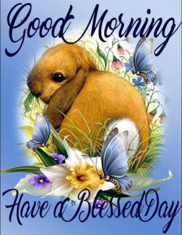 10 Daily Morning Greetings - picture 6