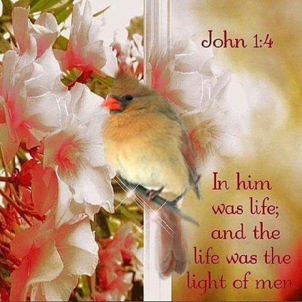 10 Daily Motivating Spiritual Quotes - picture 3